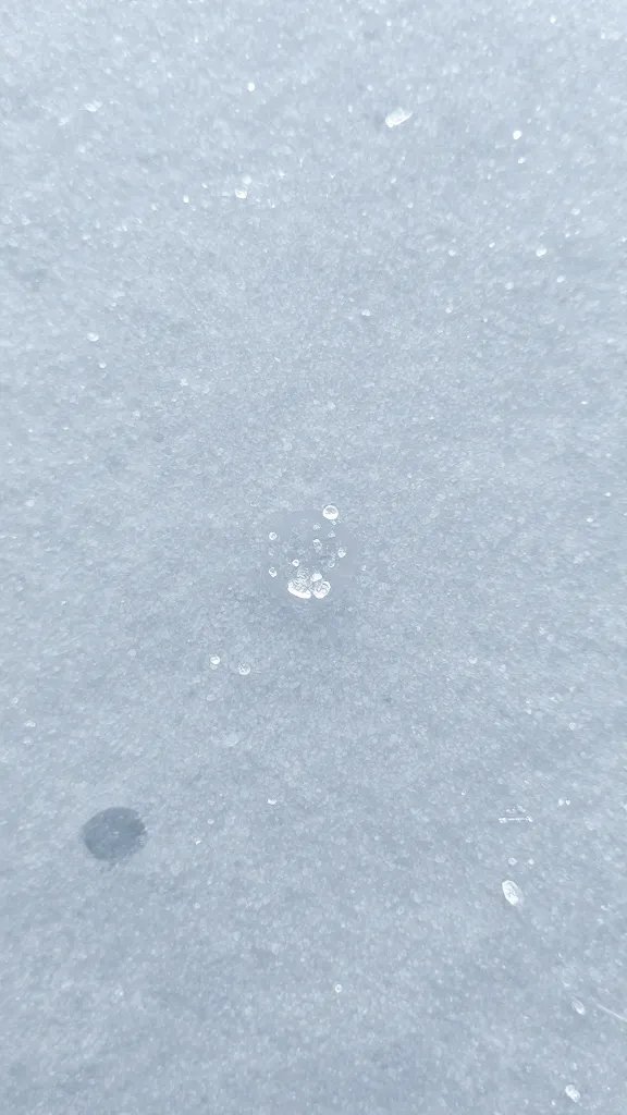 macro of tiny ice crystals on slush surface