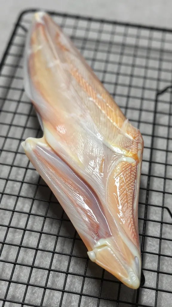 drumette wing on cooling rack, crisp skin detail