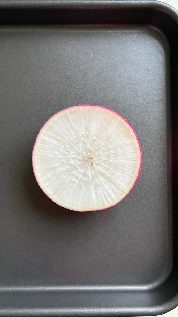 sheet pan with one seasoned radish slice centered