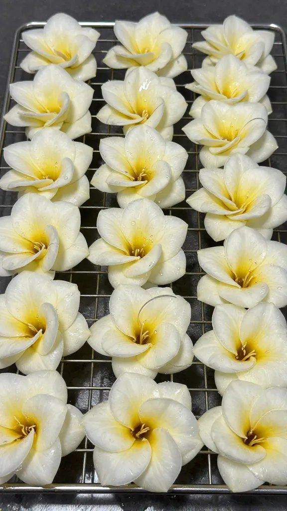 floret on wire rack draining, oil glistening